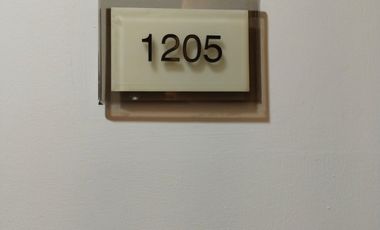 DEPARTAMENTOS EN PREVENTA EN JUAN PALOMAR Y ARIAS