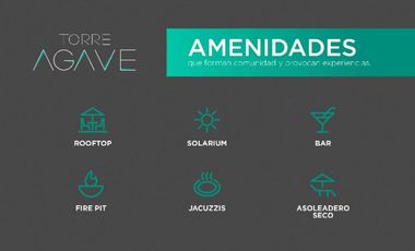 DEPARTAMENTOS EN PREVENTA EN JUAN PALOMAR Y ARIAS