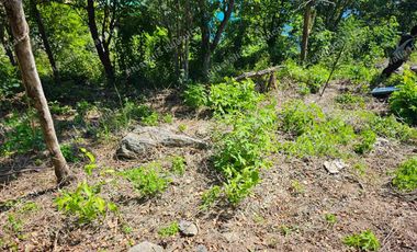 TERRENO CON VISTA AL MAR POCHUTLA OAXACA