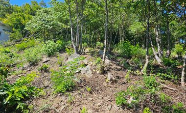 TERRENO CON VISTA AL MAR POCHUTLA OAXACA