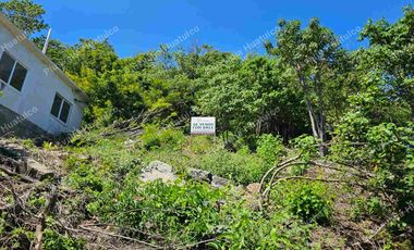 TERRENO CON VISTA AL MAR POCHUTLA OAXACA