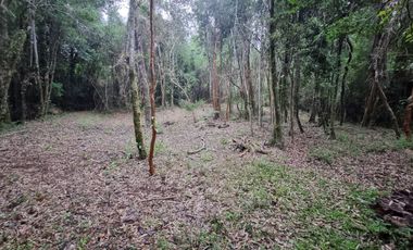 Parcela en Loteo Calfuco