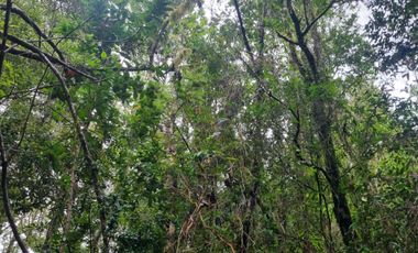 Parcela en Loteo Calfuco