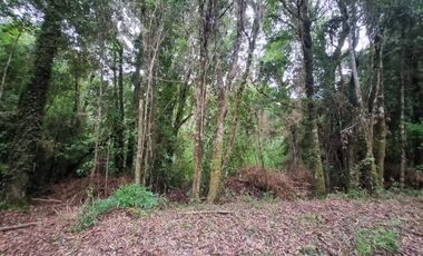 Parcela en Loteo Calfuco