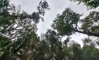 Parcela en Loteo Calfuco