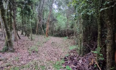 Parcela en Loteo Calfuco