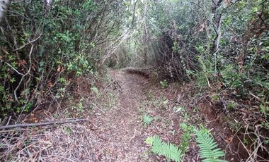 Parcela en Loteo Calfuco