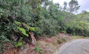 Parcela en Loteo Calfuco