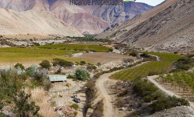 Arriendo año corrido de linda casa en gran terreno, Quebrada de Paihuano, Valle del Elqui. $450.000