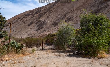 Arriendo año corrido de linda casa en gran terreno, Quebrada de Paihuano, Valle del Elqui. $450.000