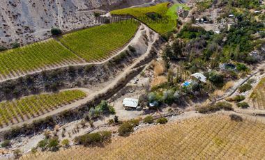 Arriendo año corrido de linda casa en gran terreno, Quebrada de Paihuano, Valle del Elqui. $450.000