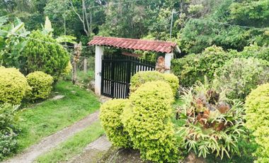 FINCA EL PARAISO SANTA ISABEL MESITAS DEL COLEGIO. CUNDINAMARCA