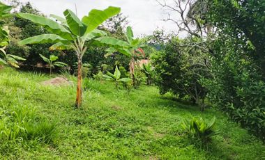 FINCA EL PARAISO SANTA ISABEL MESITAS DEL COLEGIO. CUNDINAMARCA