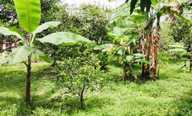 FINCA EL PARAISO SANTA ISABEL MESITAS DEL COLEGIO. CUNDINAMARCA