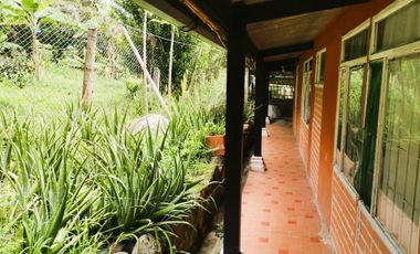 FINCA EL PARAISO SANTA ISABEL MESITAS DEL COLEGIO. CUNDINAMARCA