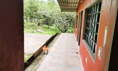 FINCA EL PARAISO SANTA ISABEL MESITAS DEL COLEGIO. CUNDINAMARCA