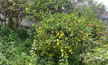 CASA EN VENTA EN ATUNTAQUI, DE OPORTUNIDAD , BAJÓ DE PRECIO