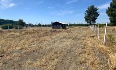 Local comercial en Quillon