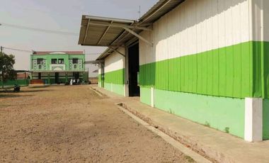 Bangunan Eks-Kandang Sapi LB 6000 M2 LT 2 Ha, Palasah, Majalengka.