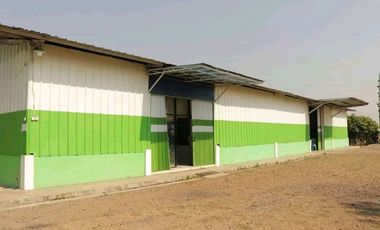 Bangunan Eks-Kandang Sapi LB 6000 M2 LT 2 Ha, Palasah, Majalengka.