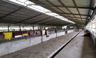 Bangunan Eks-Kandang Sapi LB 6000 M2 LT 2 Ha, Palasah, Majalengka.