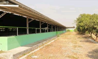 Bangunan Eks-Kandang Sapi LB 6000 M2 LT 2 Ha, Palasah, Majalengka.