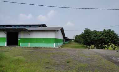 Bangunan Eks-Kandang Sapi LB 6000 M2 LT 2 Ha, Palasah, Majalengka.