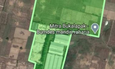 Bangunan Eks-Kandang Sapi LB 6000 M2 LT 2 Ha, Palasah, Majalengka.
