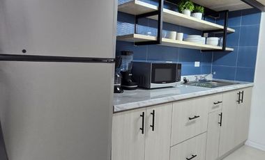 SE RENTAN LOFTS FRACC. PRADERA DORADA