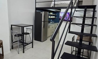 SE RENTAN LOFTS FRACC. PRADERA DORADA