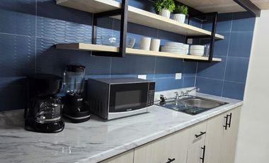 SE RENTAN LOFTS FRACC. PRADERA DORADA