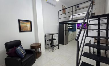 SE RENTAN LOFTS FRACC. PRADERA DORADA