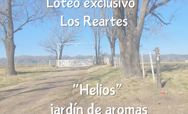 Exclusivo loteo 