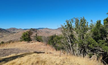 Venta Parcela sector el Parrón Comuna de Rauco