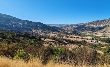 Venta Parcela sector el Parrón Comuna de Rauco