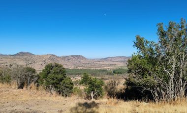 Venta Parcela sector el Parrón Comuna de Rauco