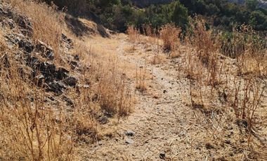 Venta Parcela sector el Parrón Comuna de Rauco