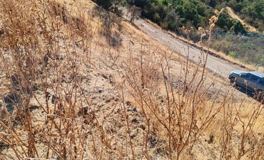Venta Parcela sector el Parrón Comuna de Rauco
