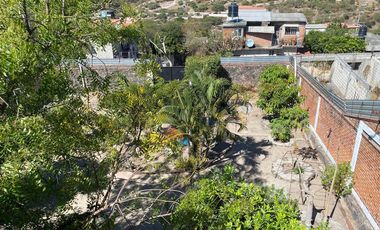 Arboles Frutales y Plantas Casa de Campo