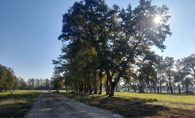Parcelas La Parva Villarrica