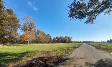 Parcelas La Parva Villarrica