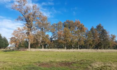 Parcelas La Parva Villarrica