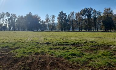 Parcelas La Parva Villarrica