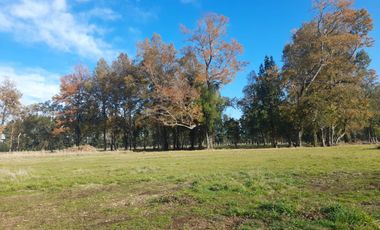 Parcelas La Parva Villarrica