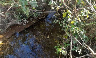 Parcelas La Parva Villarrica