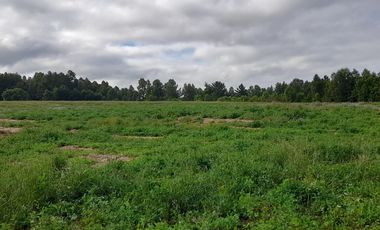 Parcelas 5.000 mts2., sector Ñuble Villarrica - Loncoche