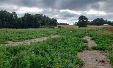 Parcelas 5.000 mts2., sector Ñuble Villarrica - Loncoche