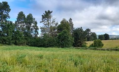 Parcelas 5.000 mts2., sector Ñuble Villarrica - Loncoche