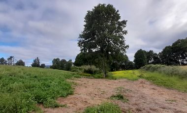 Parcelas 5.000 mts2., sector Ñuble Villarrica - Loncoche
