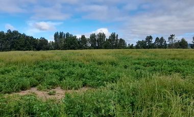 Parcelas 5.000 mts2., sector Ñuble Villarrica - Loncoche